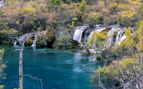 新型新型